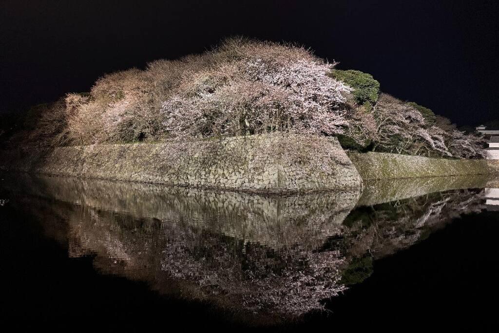 彦宿hikojyuku戸建て貸切宿 Hikone Esterno foto